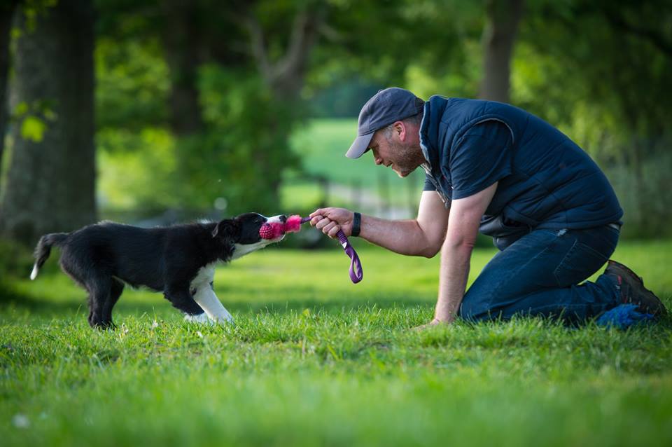 Our Trainers' Top Picks!