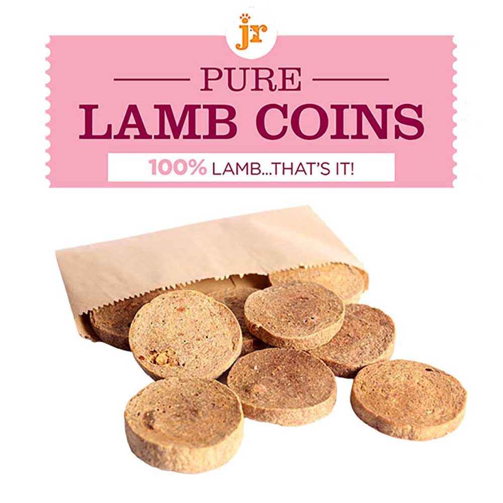 JR Pure Lamb Coins Dog Treats
