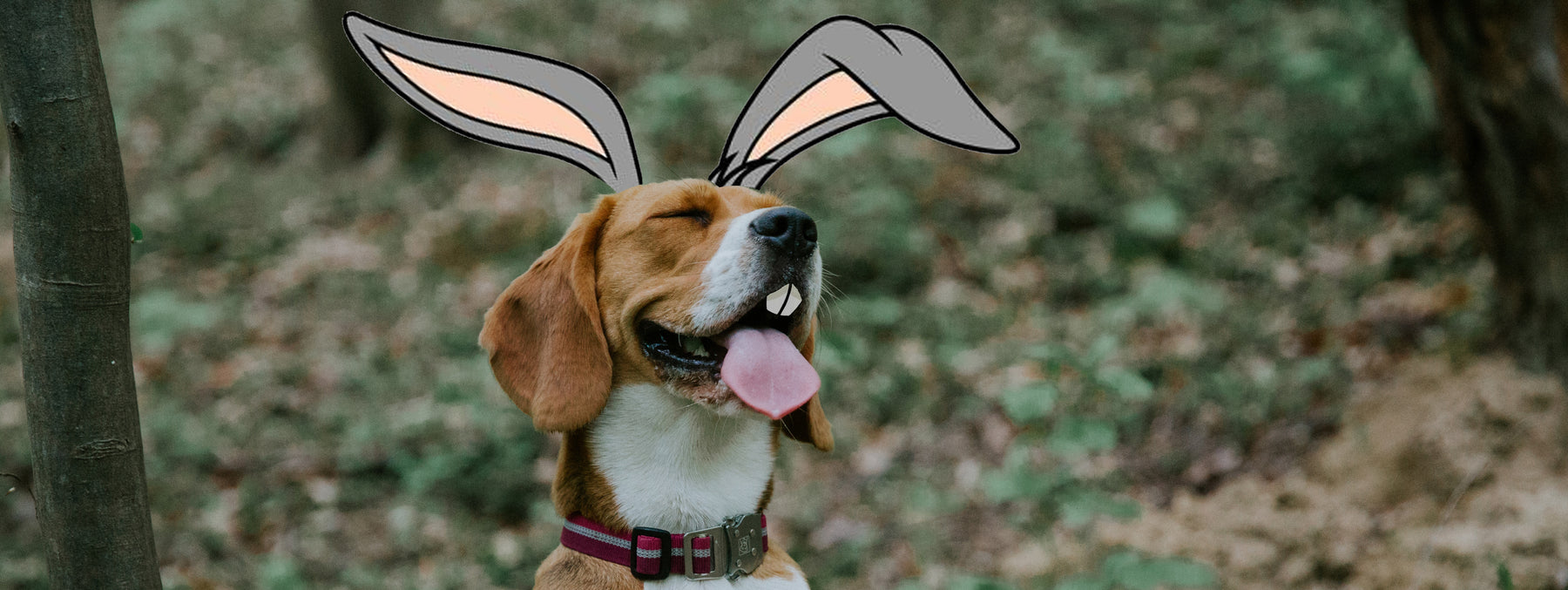 dog-bunny-easter