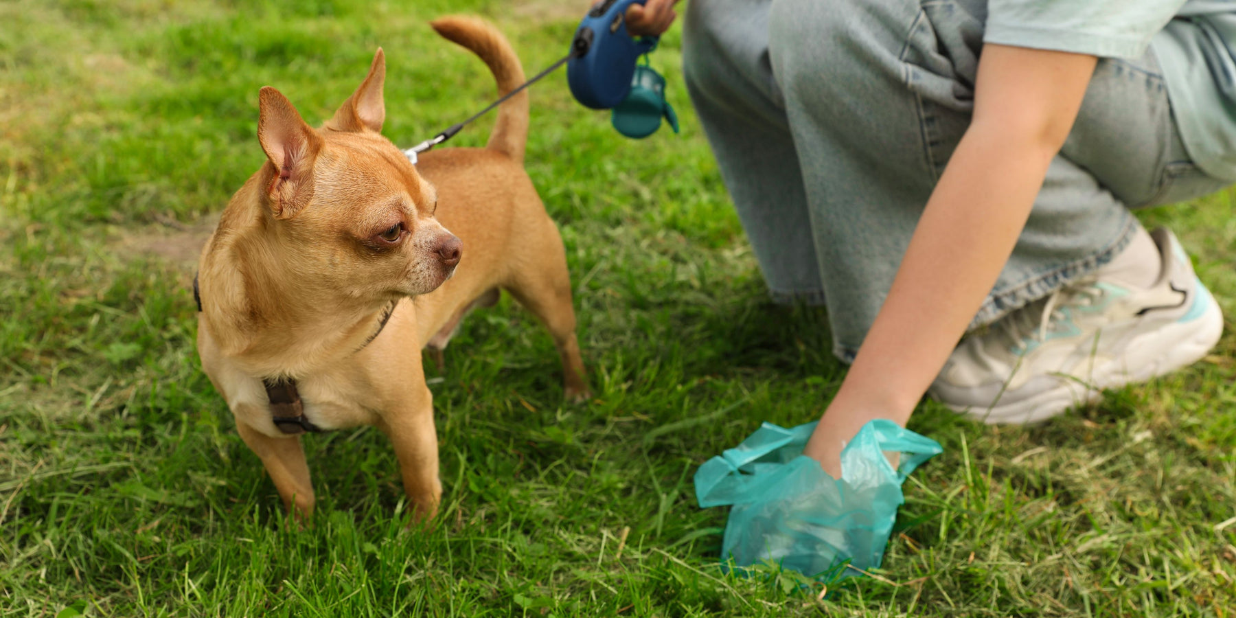 Learning about your pups poops!