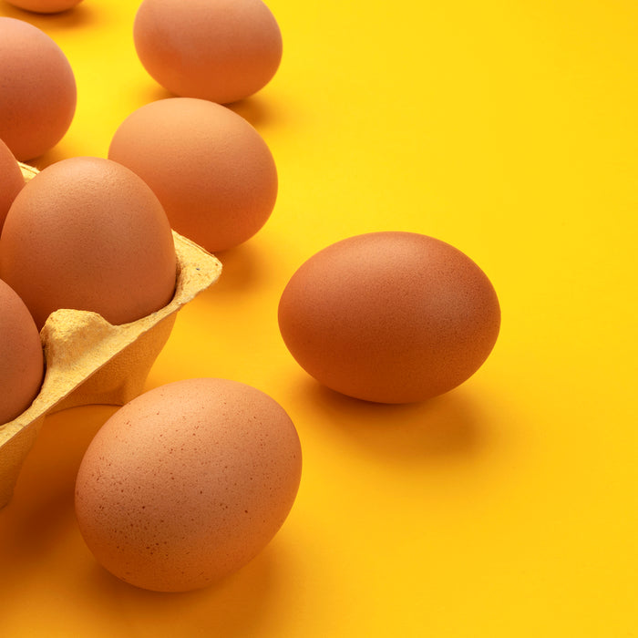 Eggs are egg-cellent!