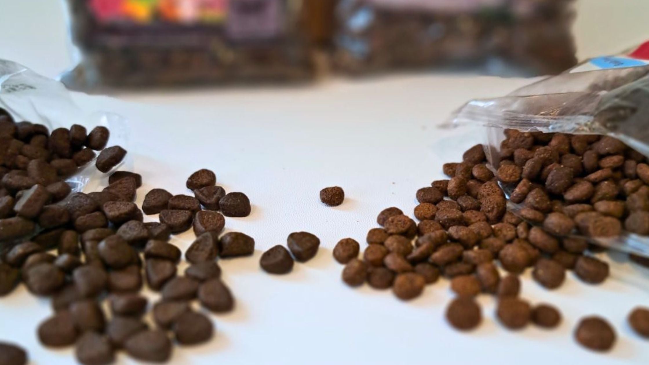 Unleashing the Power of Freshtrusion - Grain Free Kibble – Natural ...