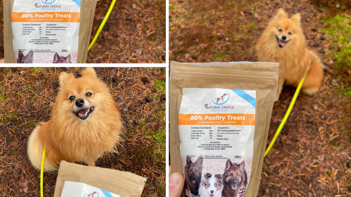 High meat content puppy food hot sale