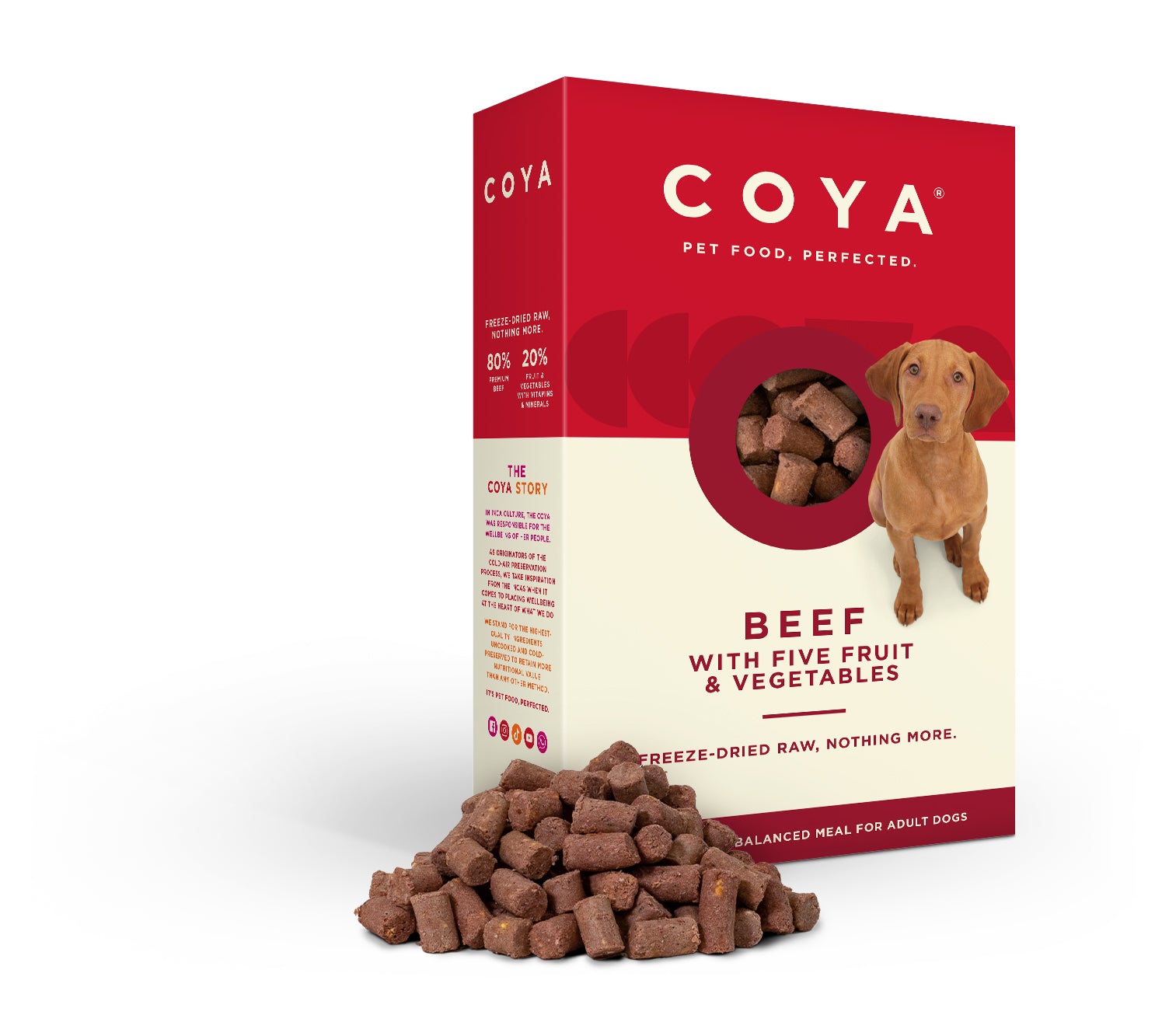 Coya Adult Dog Food Beef