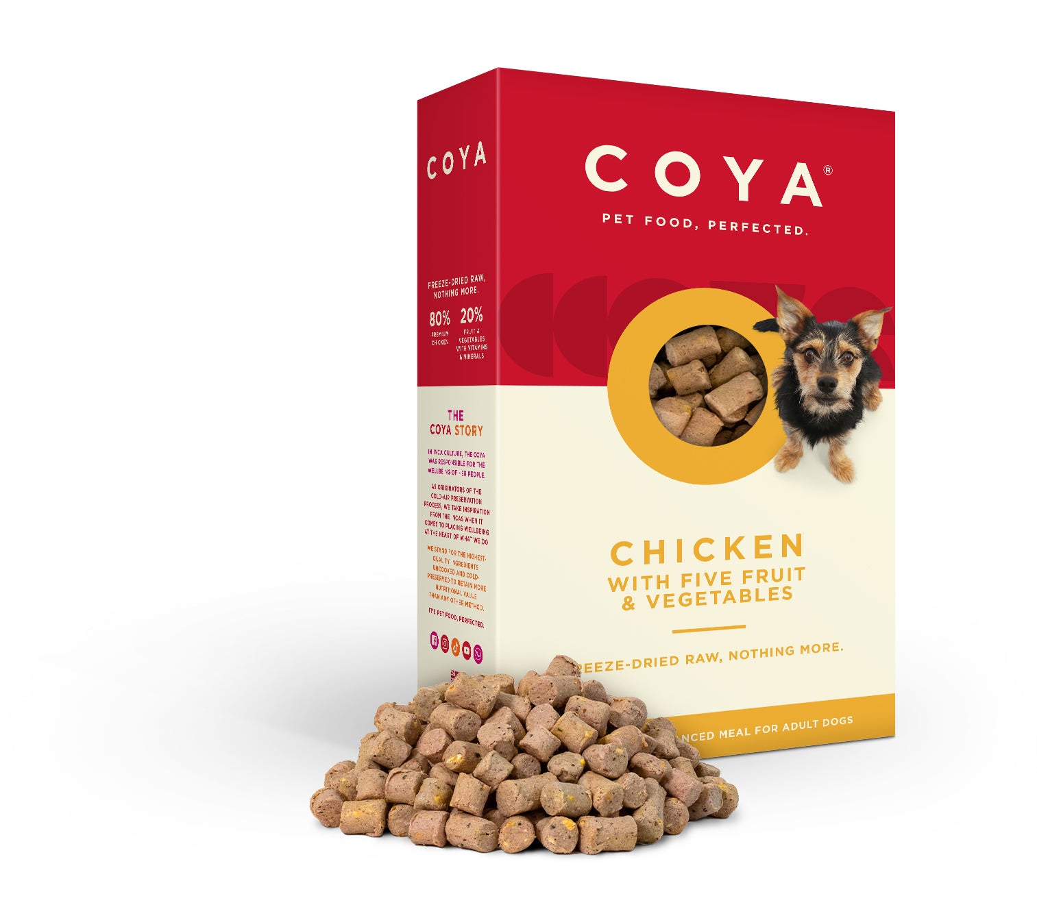 Coya Adult Dog Food Chicken