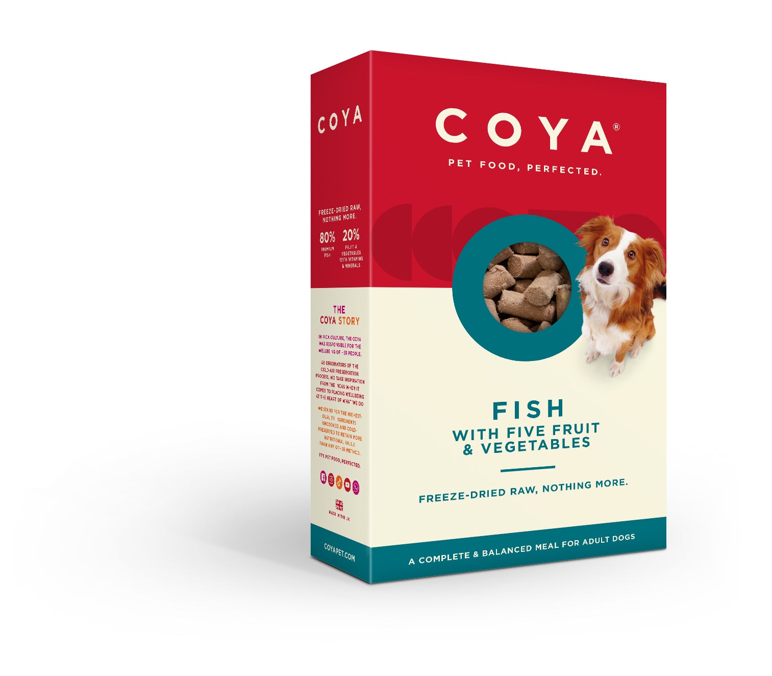 Coya Adult Dog Food Fish