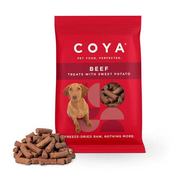 Coya Dog Treats 40g