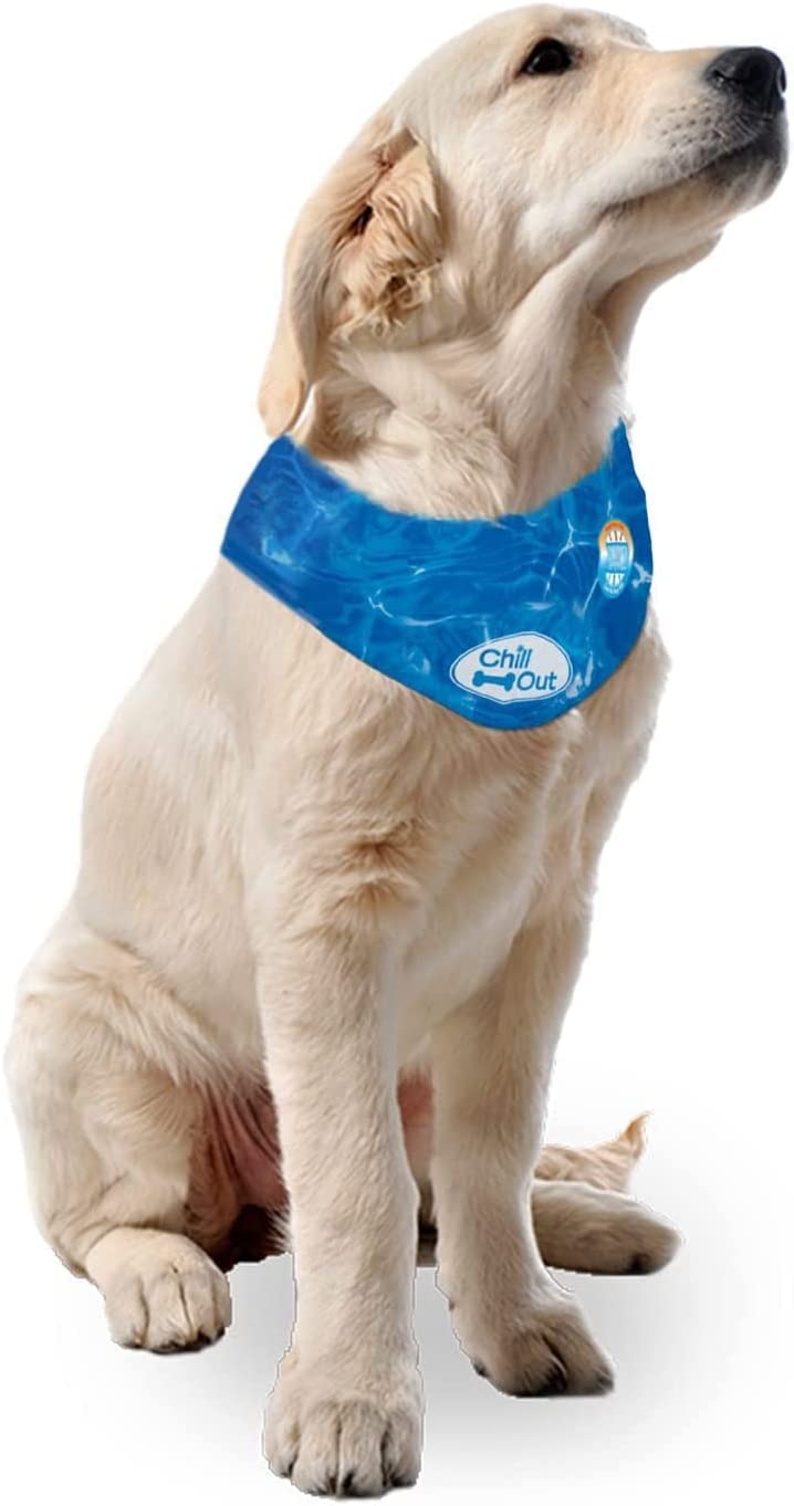 All For Paws Chill Out Bandana