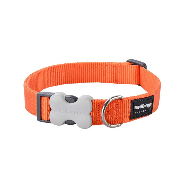 Red Dingo Classic Collars