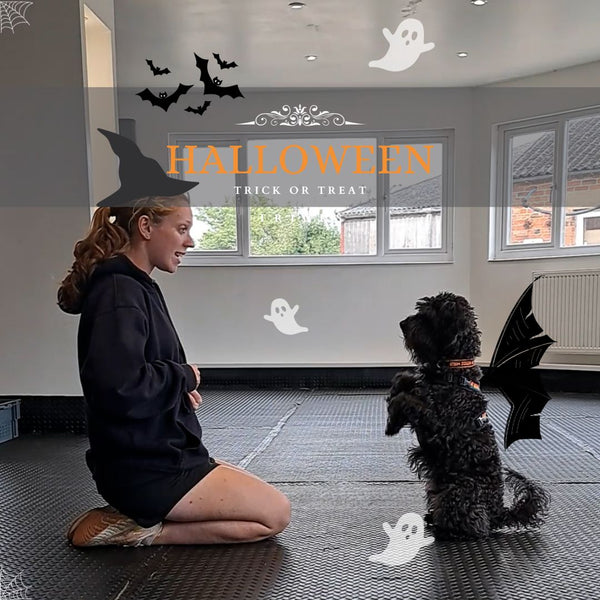 Halloween 'Trick or Treat' Box