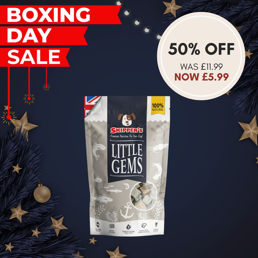 Skippers Little Gems 100% Fish Treats 250g