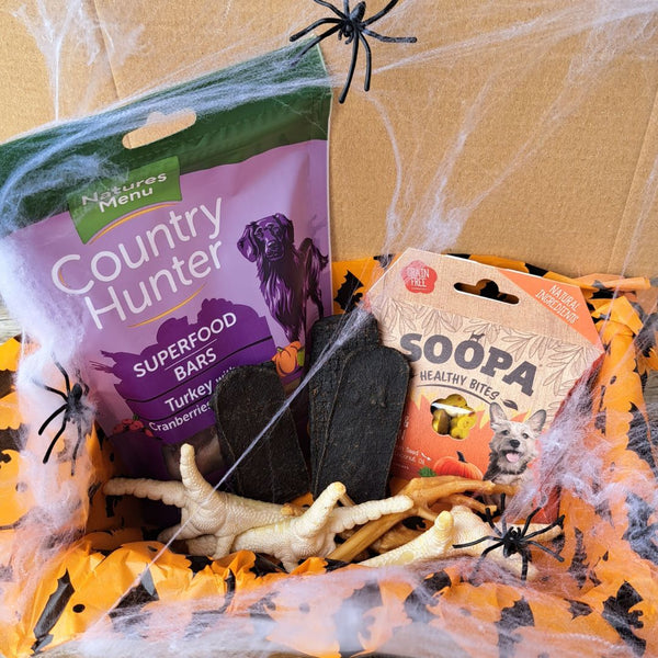 Halloween 'Trick or Treat' Box