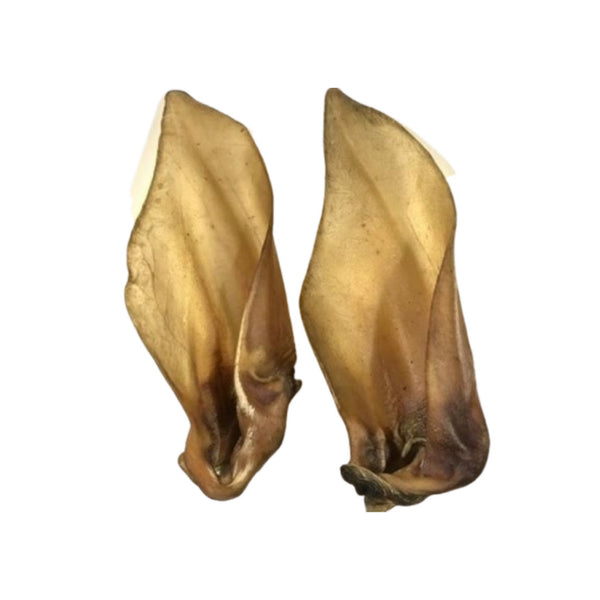 Antos Buffalo Ear