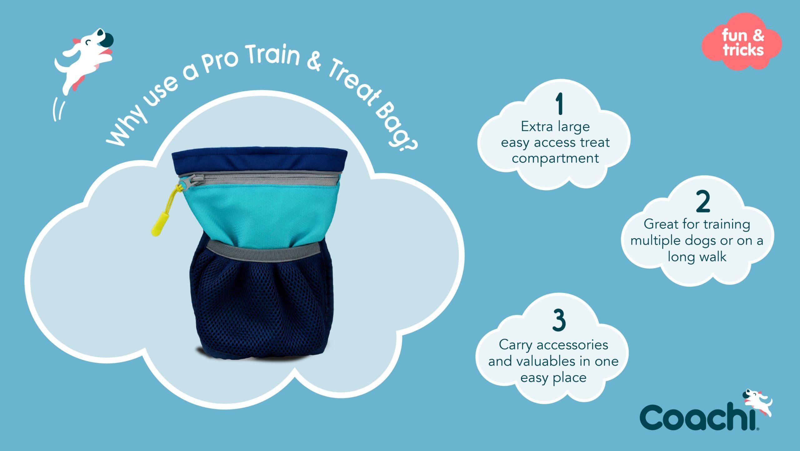 Coachi Pro Train & Treat Bag