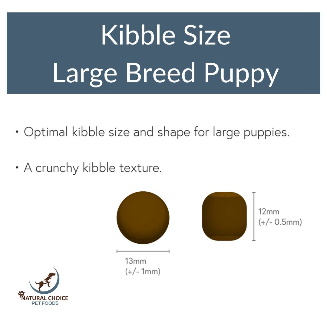 Natural Choice Large Breed Puppy Food Salmon and Sweet Potato