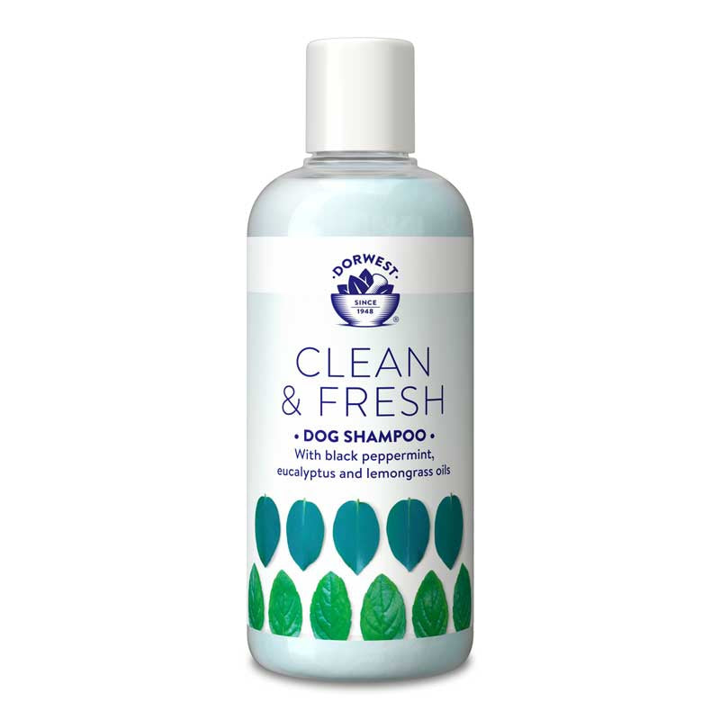 Dorwest Clean & Fresh Shampoo