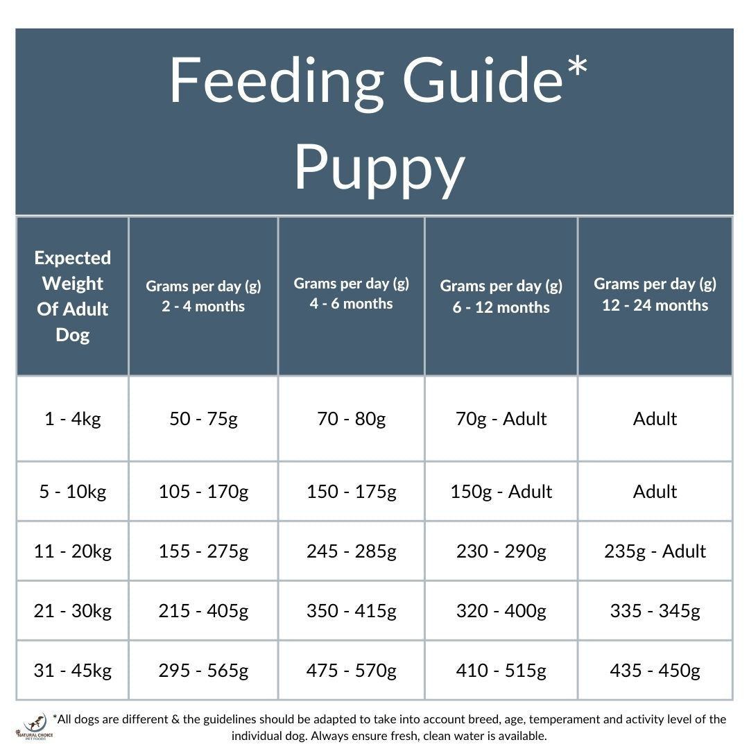 Natural Choice Pet Foods Puppy Food Chicken and Sweet Potato Dry Kibble Food
